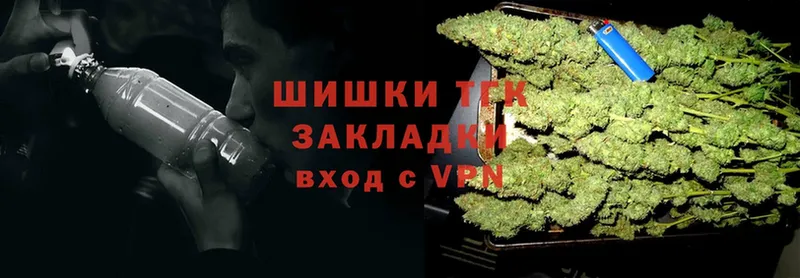 купить закладку  Выборг  сайты даркнета наркотические препараты  Конопля планчик 